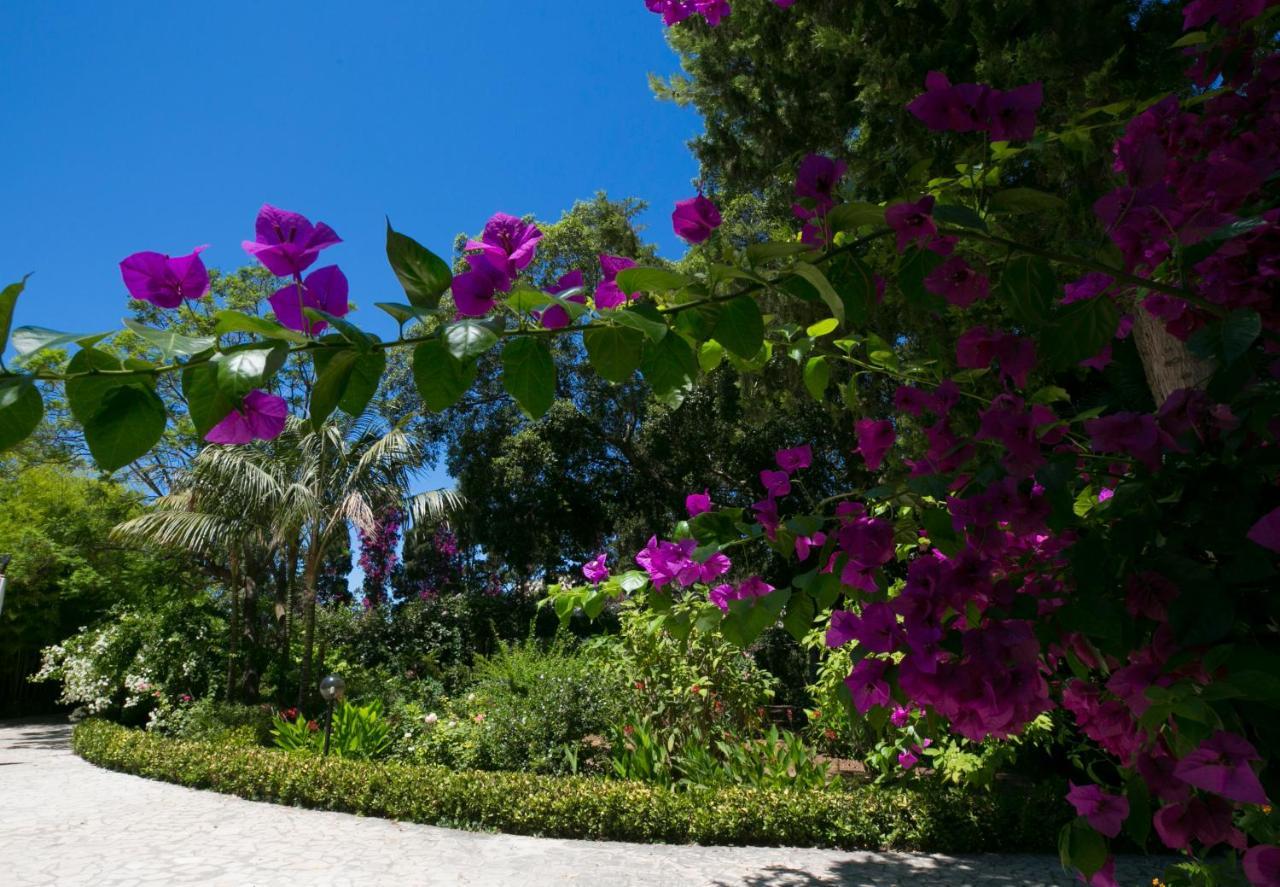 Villa Pampalone - B&B In Dimora Storica Trapani Eksteriør bilde