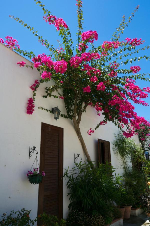 Villa Pampalone - B&B In Dimora Storica Trapani Eksteriør bilde
