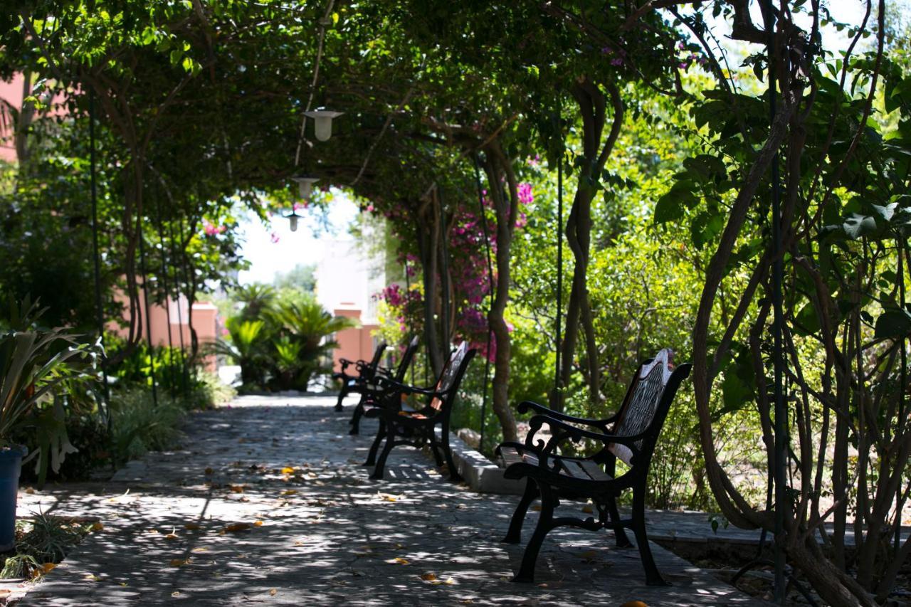 Villa Pampalone - B&B In Dimora Storica Trapani Eksteriør bilde