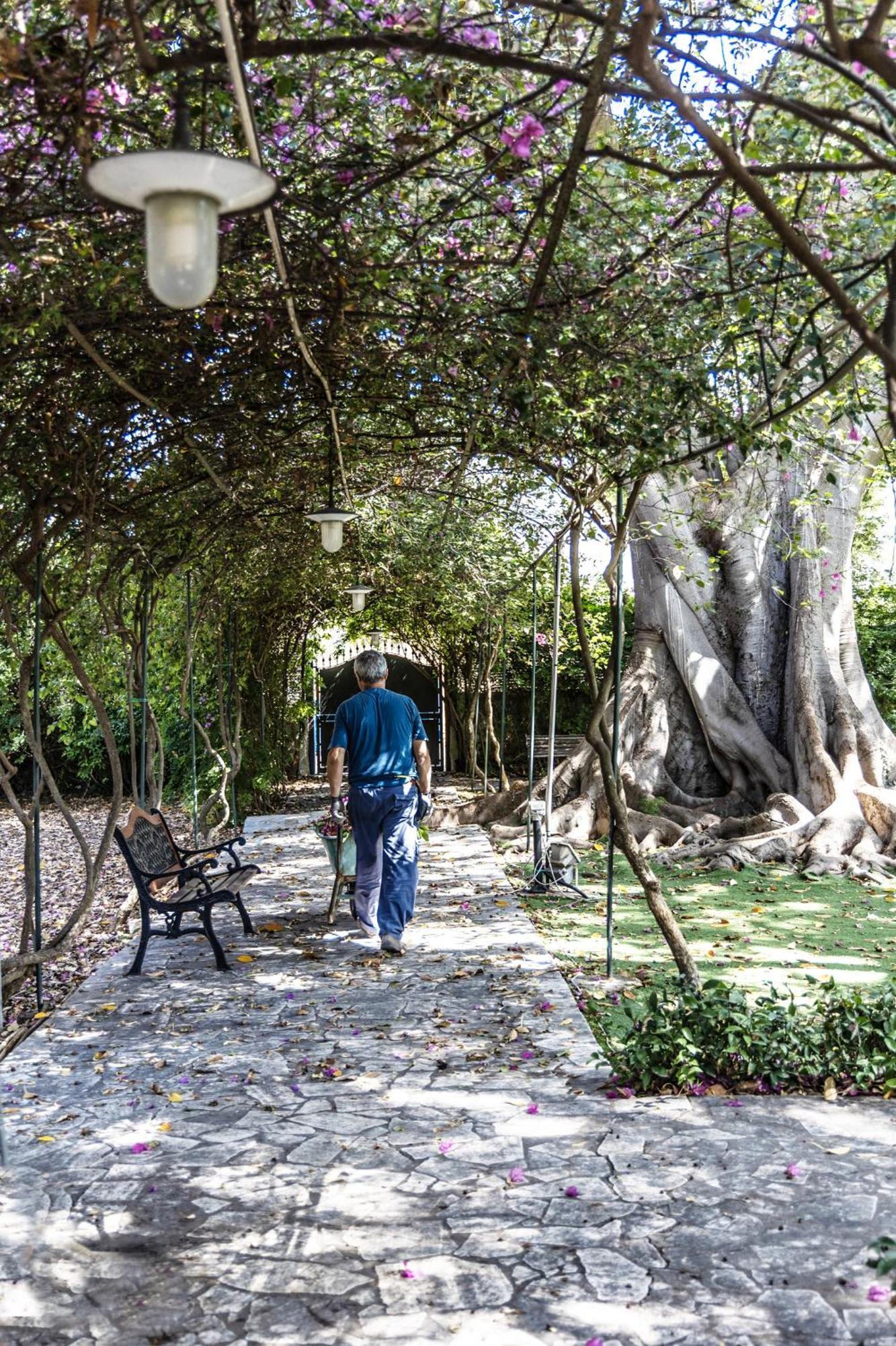Villa Pampalone - B&B In Dimora Storica Trapani Eksteriør bilde